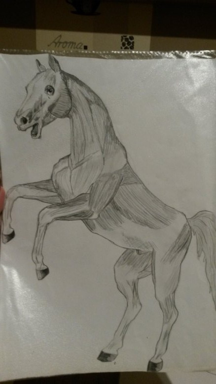 Pferd Meine Zeichnungen in Basteln