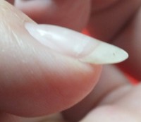 GelCare1 GelCare - Test an meinem Nagel in Zubehör
