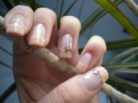 Apricot French mit Fimo Schmetterling Gelnägel