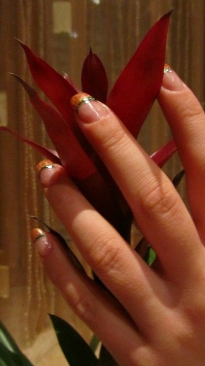  lange nägel- hilfe in Anfänger Nageldesign