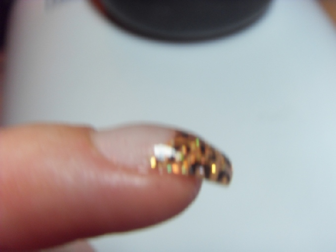 2 Leo Nails mit Glitter in Anfänger Nageldesign