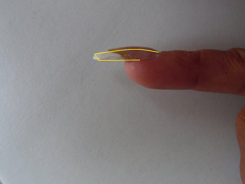 Seitenansicht Biene Finger Gelnägel mit weißem French in Anfänger Nageldesign