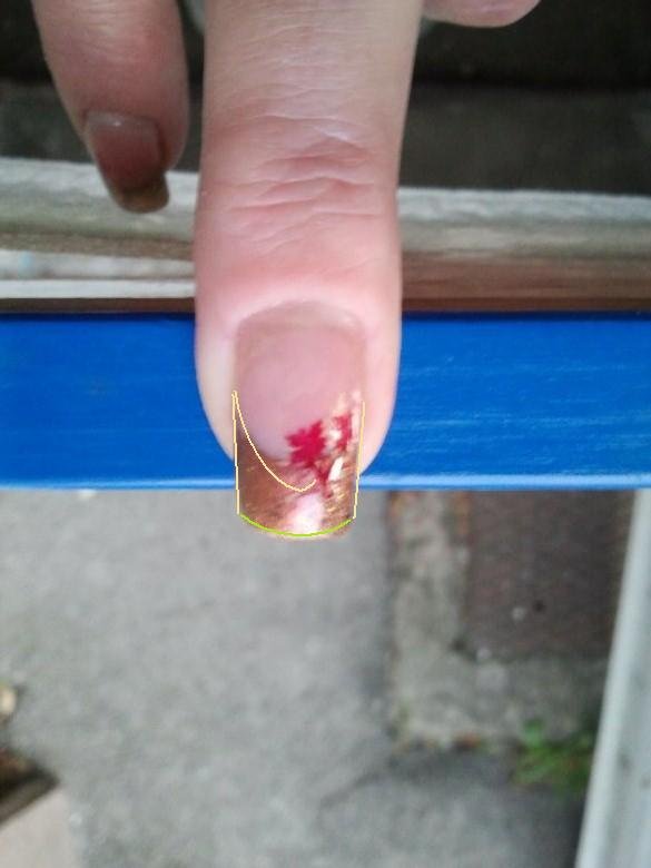 Draufsicht Ela Herbstlich gestempelt in Anfänger Nageldesign