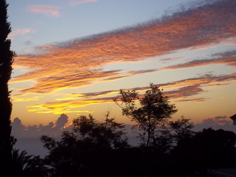 Abend-Himmel
am 30.10.2015 Was hat euch heute glücklich gemacht? in Small Talk