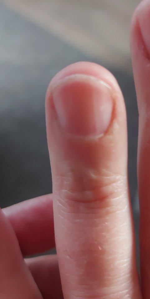 Nagel Wie schneiden, um Nagelbett zu verlängern? in Maniküre