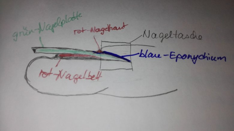 Unsichtbare Nagelhaut Unsichtbare Nagelhaut entfernen - Eponychium in Tipps / Tricks