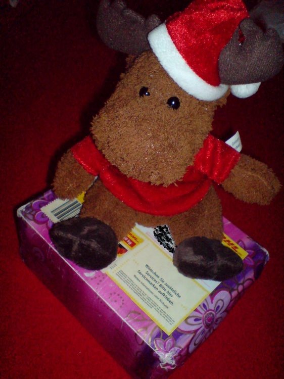 Wichtelgeschenk die zweite mit Teddy =) wir wärs mit wichteln? in Small Talk