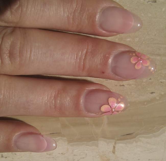 Gelmodellage mit Glasgel und gemalten Blumen Verlängerung mit Glasgel und Malerei in Anfänger Nageldesign