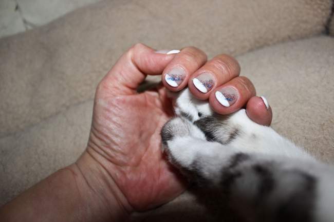 Frenchnägel Modellage Frenchnails mit Glitzerstreifen in Anfänger Nageldesign