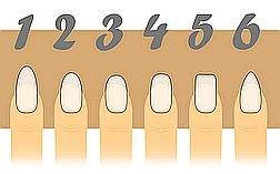 Übersicht Nagelformen Umfrage: Welche Nagelformen passen für Männer? in Umfragen