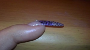  Nicht die erste Modellage, aber noch Anfänger ;) in Anfänger Nageldesign