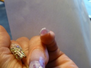 eine weitere Ansicht acrylmodellage Was meint Ihr dazu? in Anfänger Nageldesign