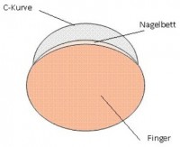 c-kurve-ansicht Gelnägel - bitte um Hilfe beim Aufbau in Anfänger Nageldesign