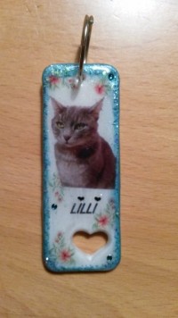 Schlüsselanhänger mit der Katze Namensschilder für eure Liebling ! in Haustiere