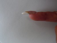Ansicht von der Seite (nur ein Nagel) Gelnägel mit weißem French in Anfänger Nageldesign