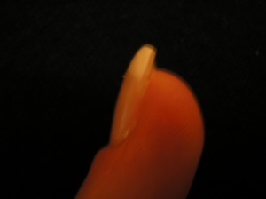 Der Aufbau - leider ein wenig unscharf Das erste "offiziele" Mal - endlich ohne Liftings in Anfänger Nageldesign