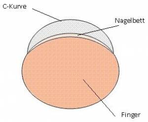 ideale c-kurve Neue Nägel - bitte um Feedback in Anfänger Nageldesign