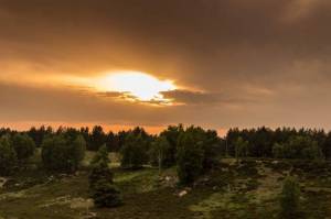 Naturpark Maas-Schwalm-Nette. Depot Brüggen Was die Karibik kann, haben wir schon lange . in Small Talk