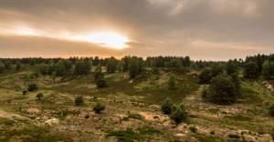 Naturpark Maas-Schwalm-Nette. Depot Brüggen 2 Was die Karibik kann, haben wir schon lange . in Small Talk