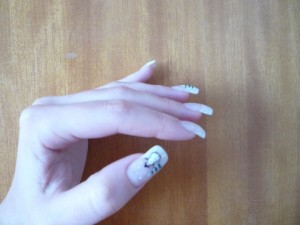 verkleinert 2 Meine Nägel in Anfänger Nageldesign